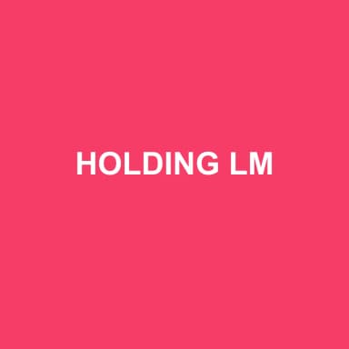 Logo de HOLDING LM