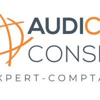 Audicer Conseil - photo 2