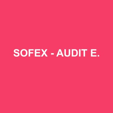 Logo de SOFEX - AUDIT ET EXPERTISE COMPTABLE