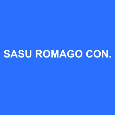 Logo de SASU ROMAGO CONSEIL