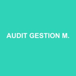 Logo Audit Gestion Management Expertise & Conseils - Expert-comptable à Brézins