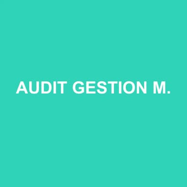 Logo de AUDIT GESTION MANAGEMENT EXPERTISE & CONSEILS