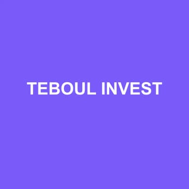 Logo de TEBOUL INVEST