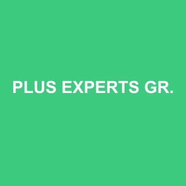 Logo de PLUS EXPERTS GRENOBLE