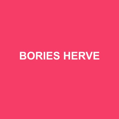 Logo de BORIES HERVE