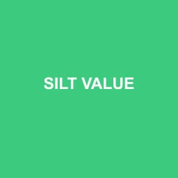 Logo Silt Value - Expert-comptable à Montreuil