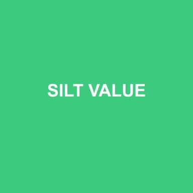 Logo de SILT VALUE