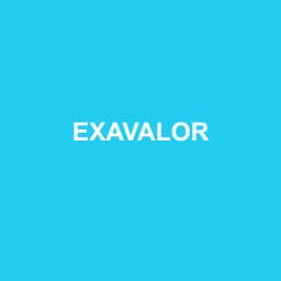 Logo EXAVALOR