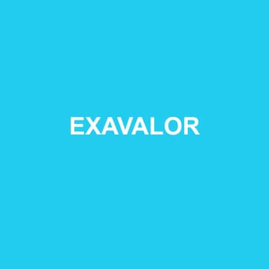 Logo de EXAVALOR