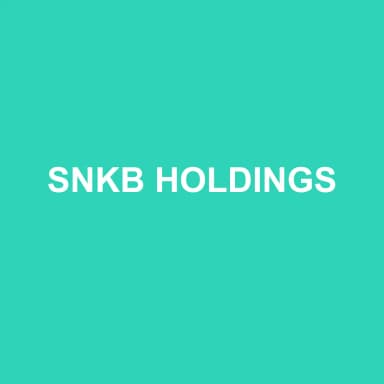 Logo de SNKB HOLDINGS