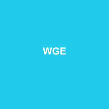 Logo de WGE