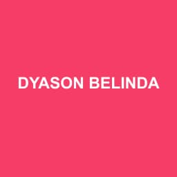 Logo Dyason Belinda - Expert-comptable à Velaux