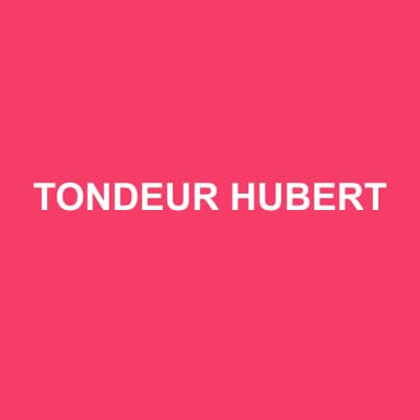 Logo de TONDEUR HUBERT