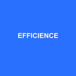Logo de EFFICIENCE