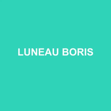 Logo de LUNEAU BORIS