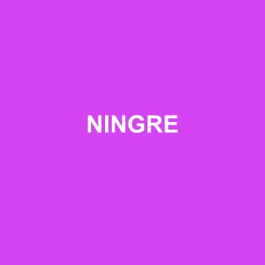 Logo de NINGRE