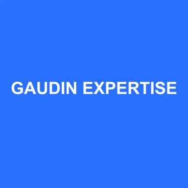 Logo de GAUDIN EXPERTISE