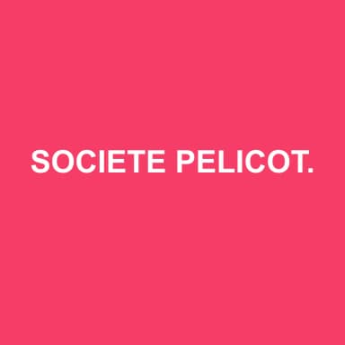 Logo de SOCIETE PELICOT D'EXPERTISE COMPTABLE