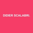 Logo de Didier Scalabrino Expertise