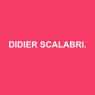 Logo de DIDIER SCALABRINO EXPERTISE