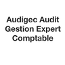 AUDIGEC AUDIT GESTION EXPERTISE COMPTABLE SARL