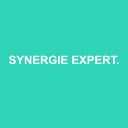 Logo SYNERGIE EXPERTISE