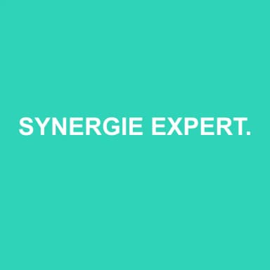 Logo de SYNERGIE EXPERTISE