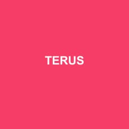 Logo Terus - Expert-comptable à Marseille