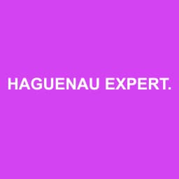 Logo Haguenau Expertise Comptable - Expert-comptable à Haguenau