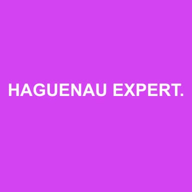 Logo de HAGUENAU EXPERTISE COMPTABLE