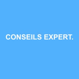 Logo Conseils Experts-comptables - Expert-comptable à Saint-Affrique