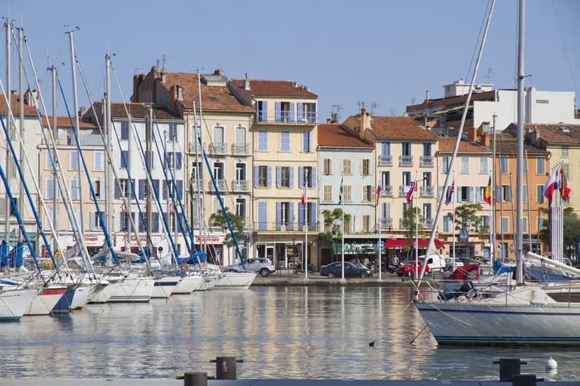Sagec Conseil - photo 2