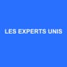 LES EXPERTS UNIS