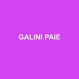 Logo Galini Paie - Expert-comptable à Marlenheim