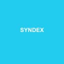 Logo de Syndex