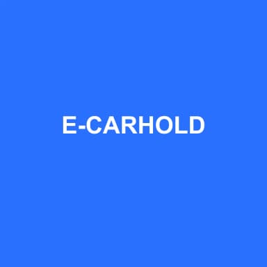 Logo de E-CARHOLD