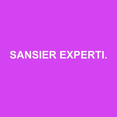 Logo de SANSIER EXPERTISE