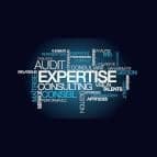 Alto Audit et Conseil - photo 1