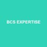 BCS EXPERTISE