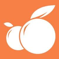 Expertise Choix b - photo 4