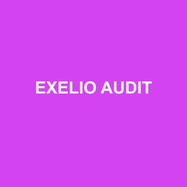 Logo de EXELIO AUDIT
