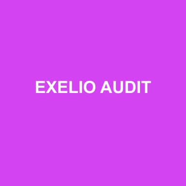 Logo de EXELIO AUDIT