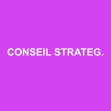 Logo de CONSEIL STRATEGIE ASSISTANCE MIDI-PYRENEES