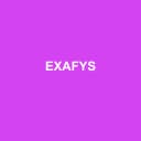 Logo de Exafys