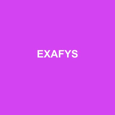 Logo de EXAFYS