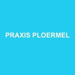 Logo Praxis Ploermel - Expert-comptable à Guer