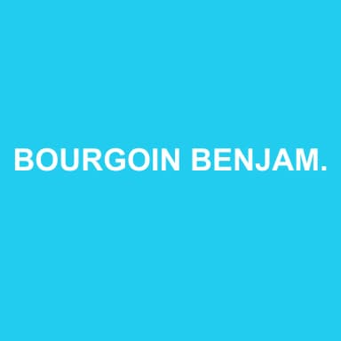 Logo de BOURGOIN BENJAMIN