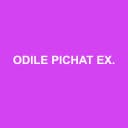 Logo ODILE PICHAT EXPERTISE