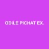 ODILE PICHAT EXPERTISE