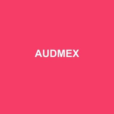 Logo de AUDMEX